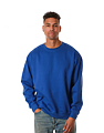 Premium Crewneck Sweatshirt